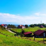UZOPIBIH Carakovo5
